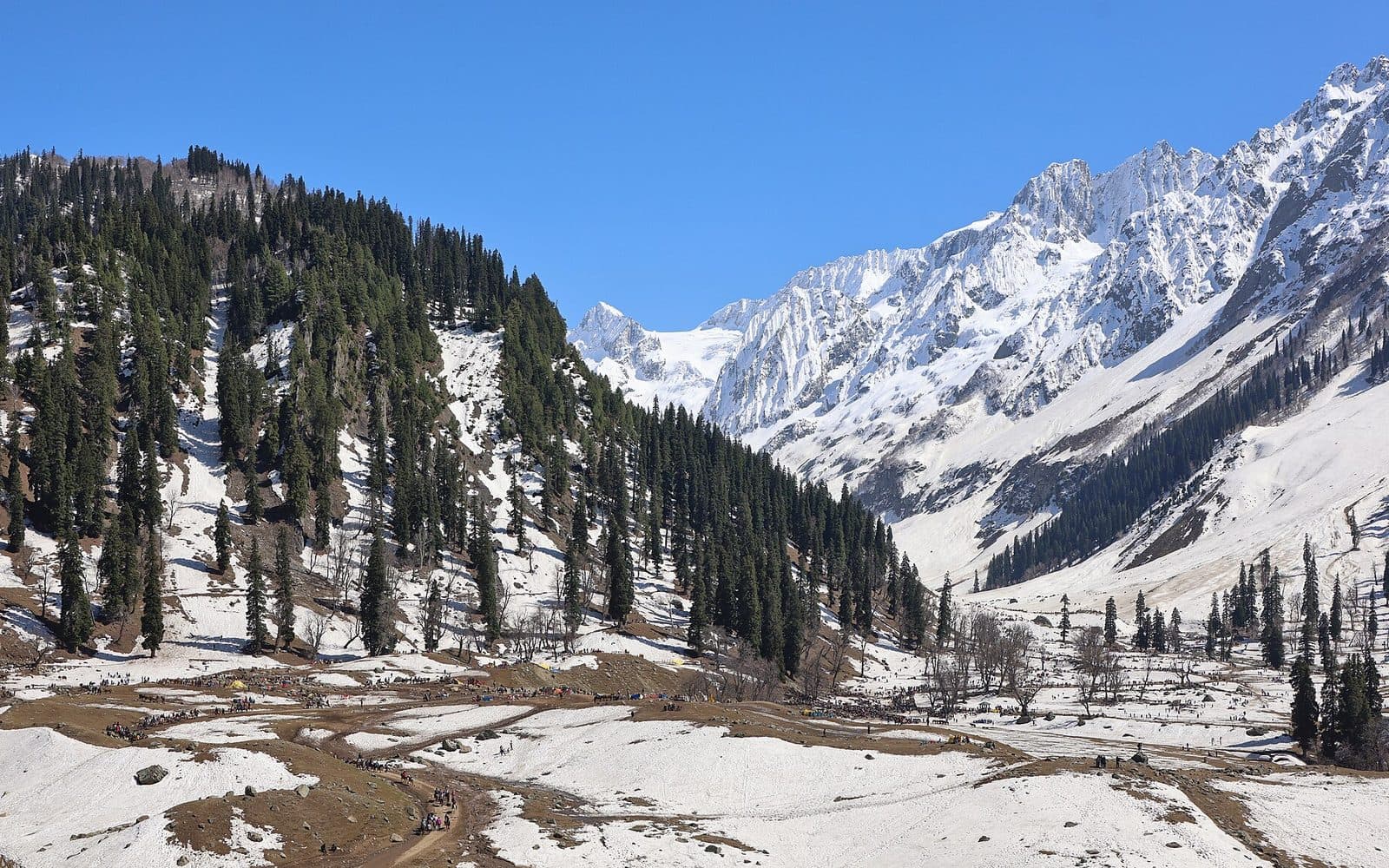Glaciers