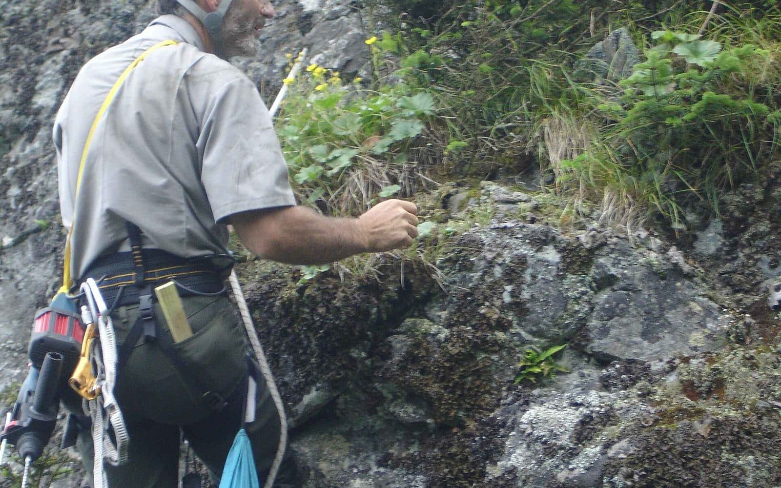 Mountaineering