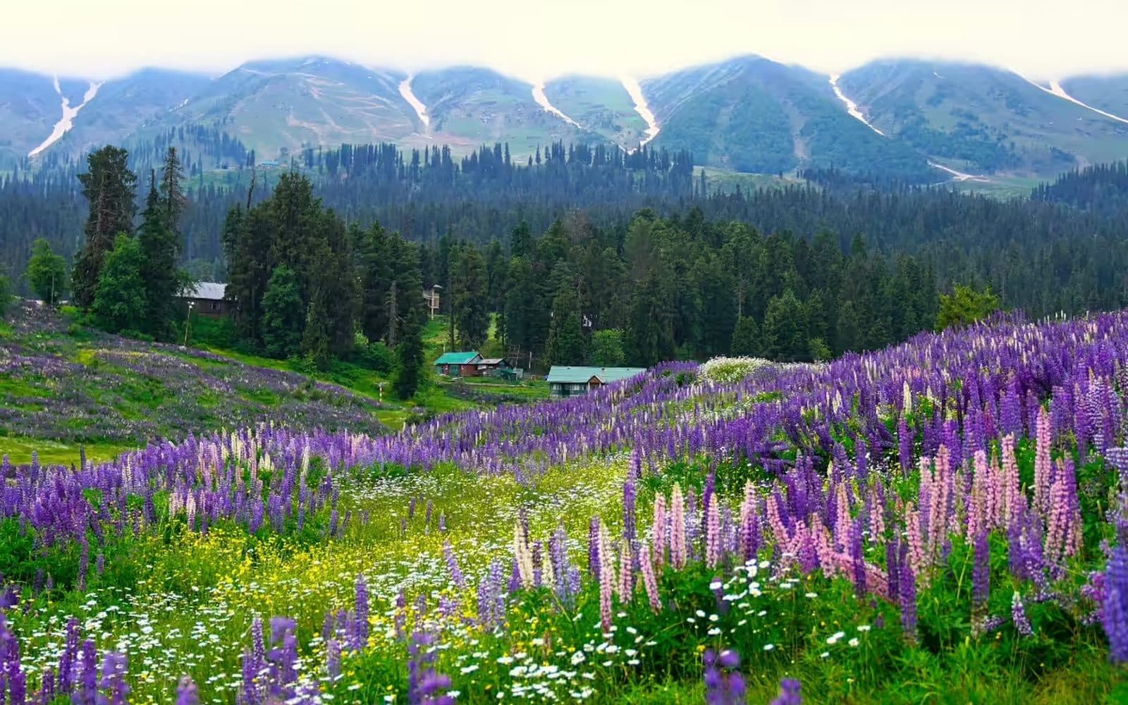 Ultimate Paradise Honeymoon
