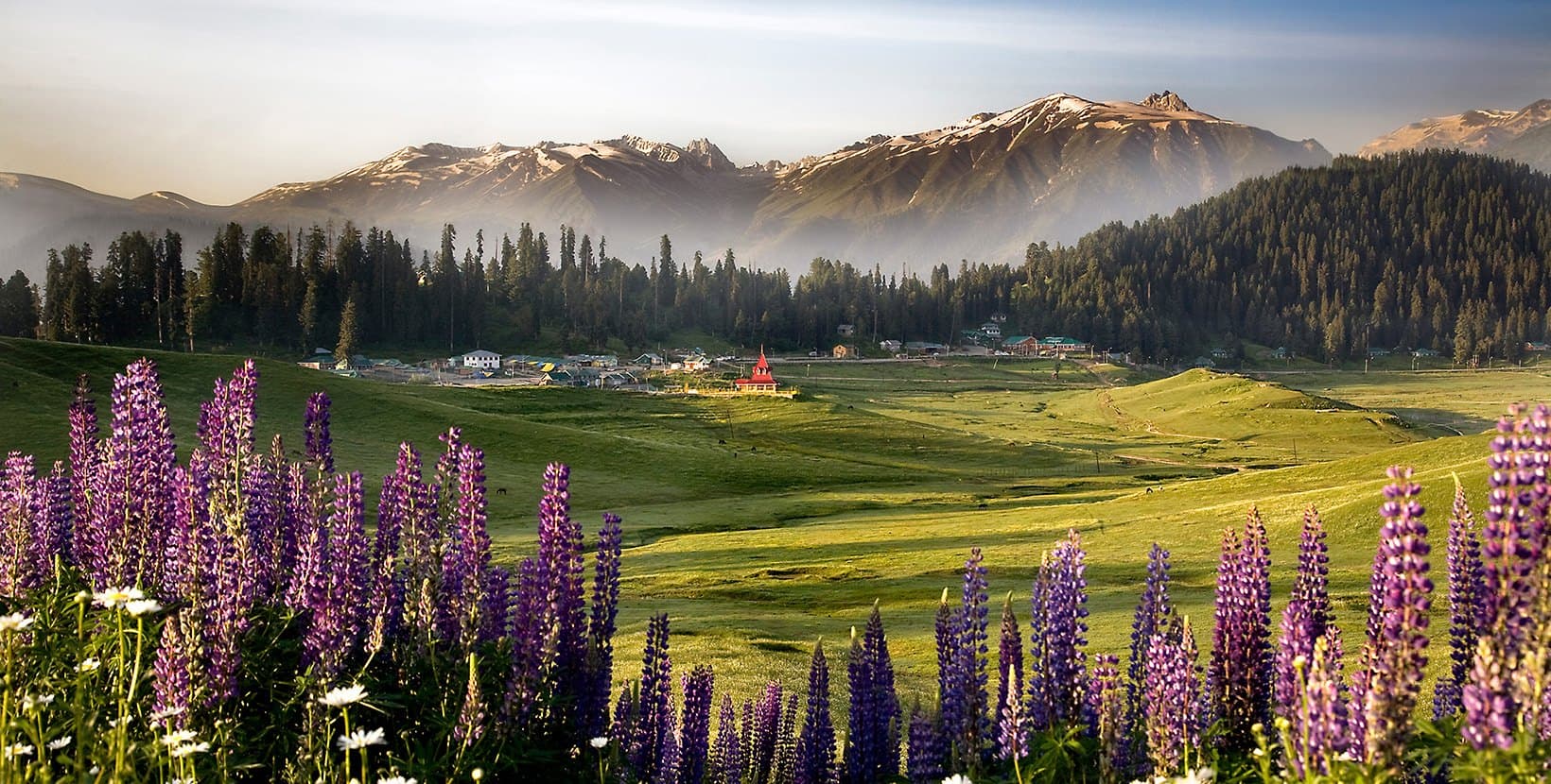 Gulmarg Odyssey