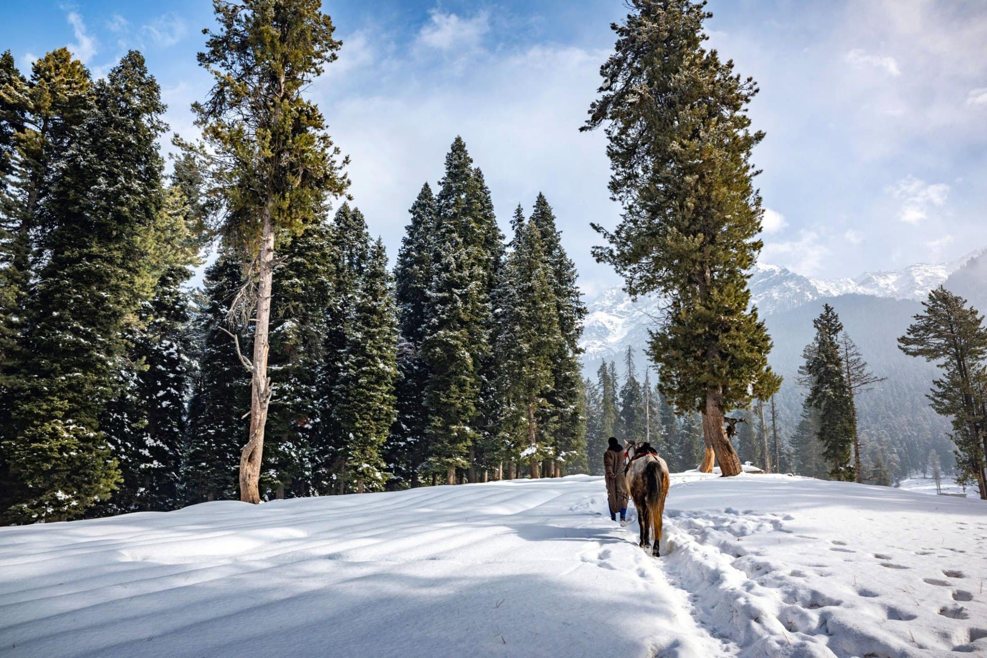 Pony Ride