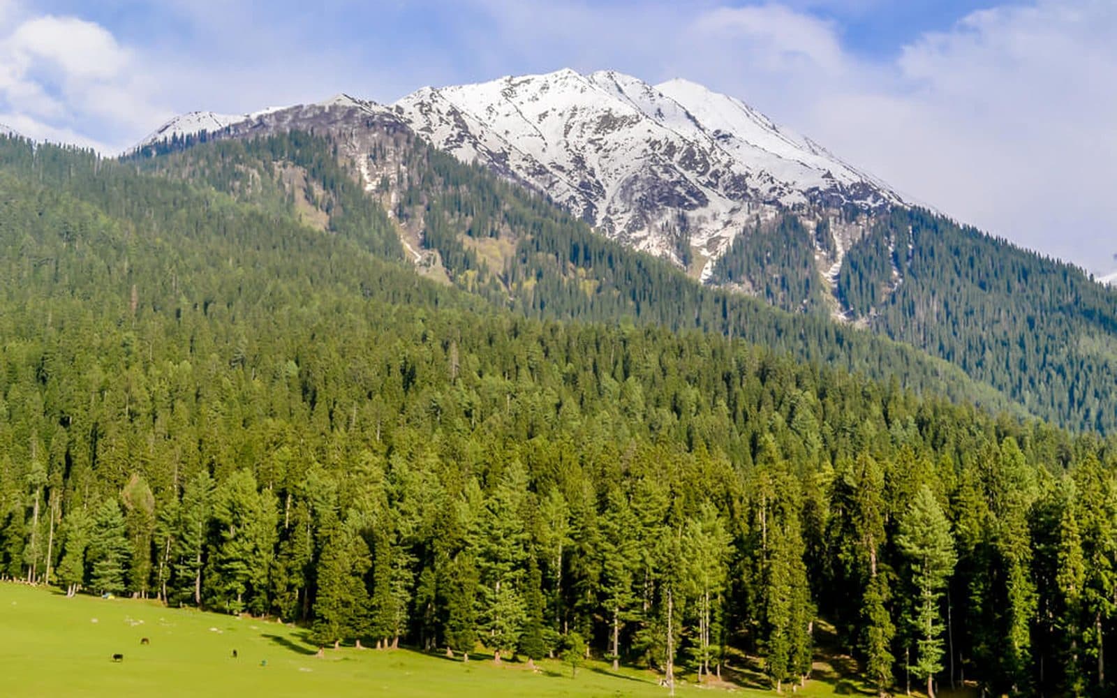 Pahalgam