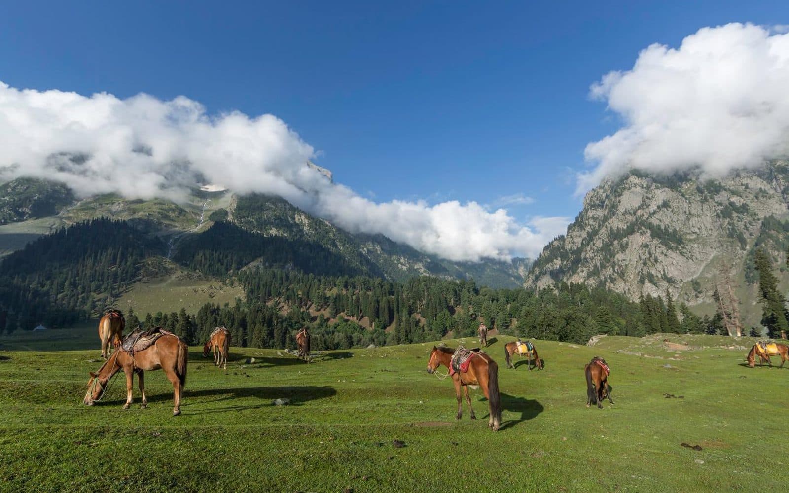 Sonmarg