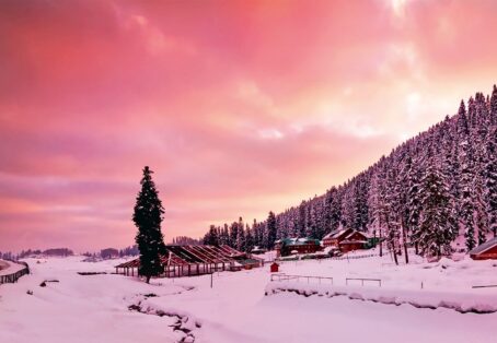 Gulmarg Odyssey