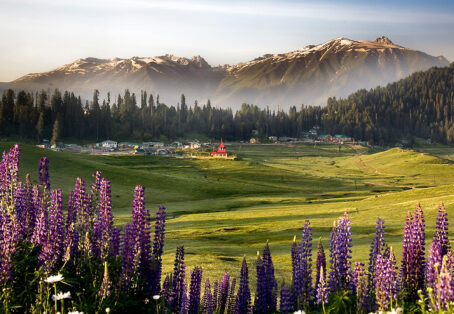 Gulmarg Odyssey