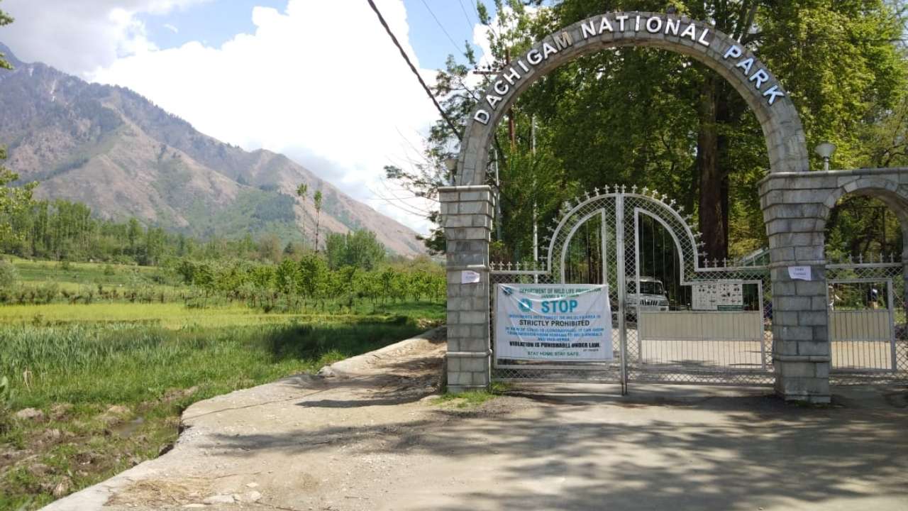 dachigam